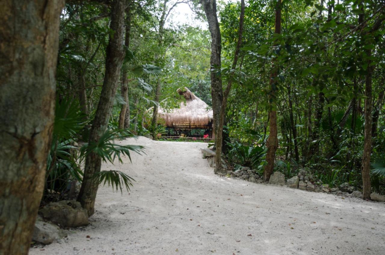 Hotel Rotamundos Mama Loomm Playa del Carmen Zewnętrze zdjęcie