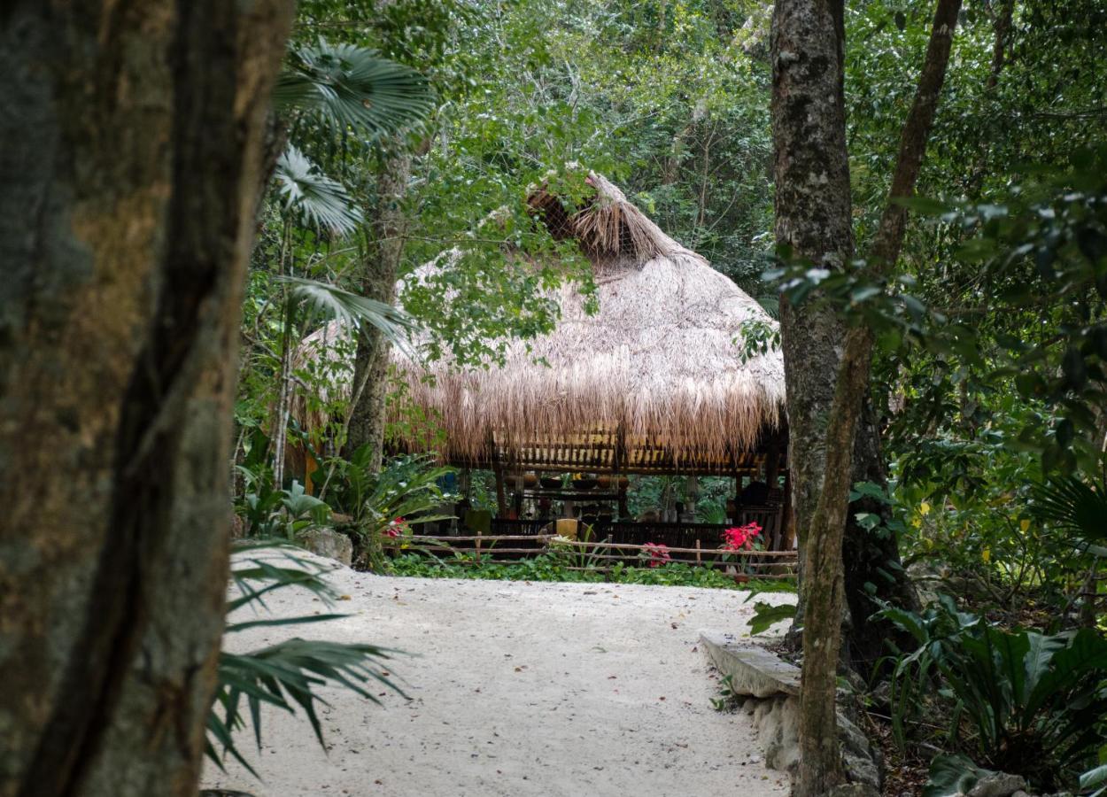 Hotel Rotamundos Mama Loomm Playa del Carmen Zewnętrze zdjęcie