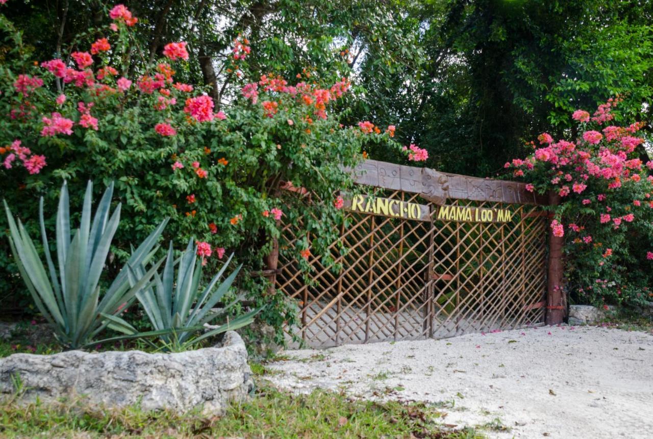 Hotel Rotamundos Mama Loomm Playa del Carmen Zewnętrze zdjęcie