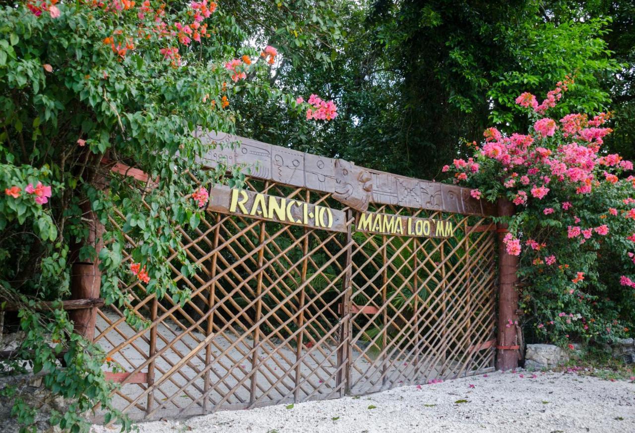 Hotel Rotamundos Mama Loomm Playa del Carmen Zewnętrze zdjęcie