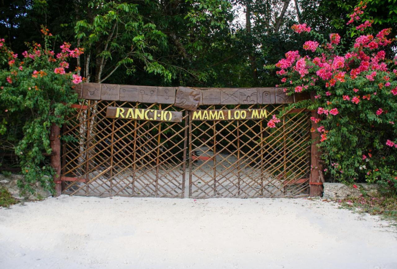 Hotel Rotamundos Mama Loomm Playa del Carmen Zewnętrze zdjęcie